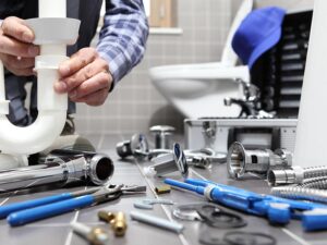 service-plumbing-consultants